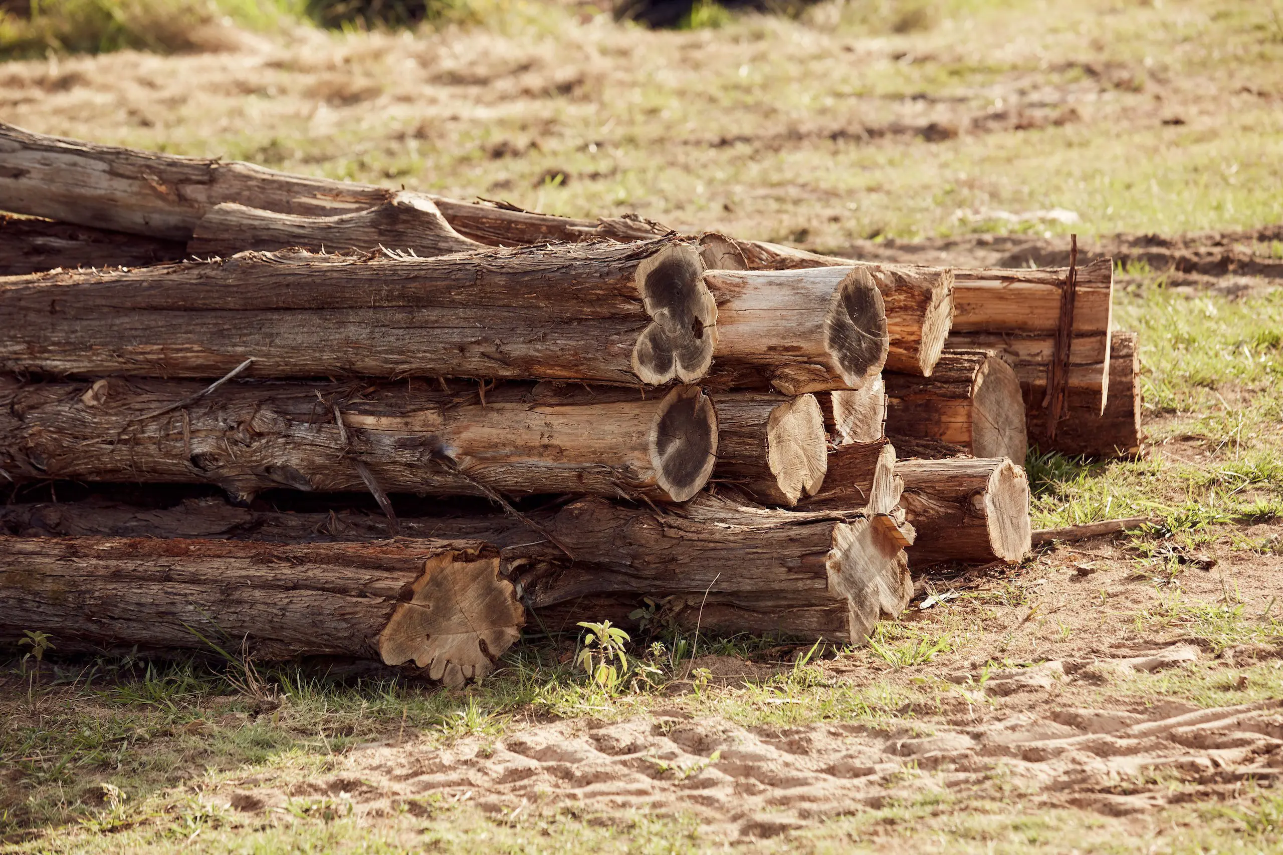 https://gumcreekboards.com/wp-content/uploads/2022/06/Sweet-gum-end-grain-cutting-boards.jpg