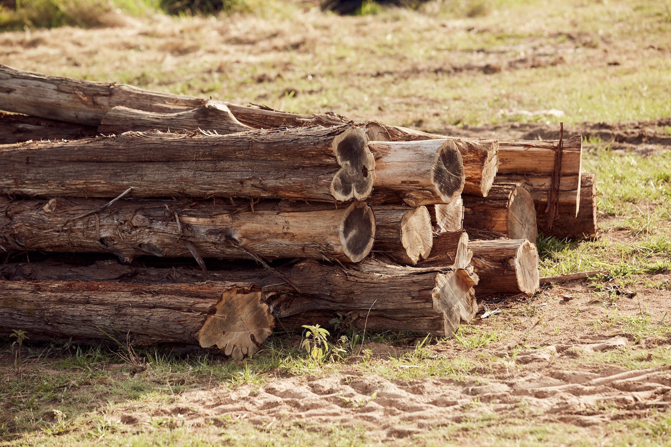 Sweet gum wood Lazy Susans